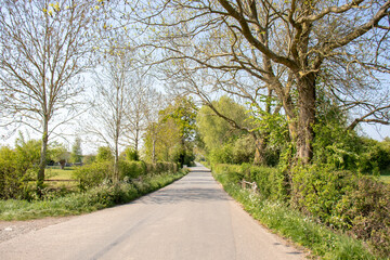 road in the countryside