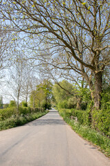 Road in the springtime countryside