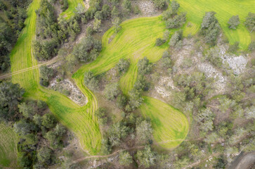 Done aerial image of agriculture field farmland. Harvesting outdoor. Nature background. Cyprus.
