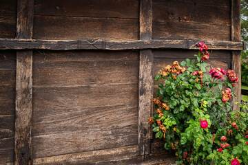 Fototapeta na wymiar Wooden wall of rustic cabin wall with flowers