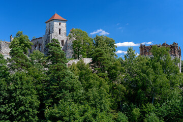 ruiny zamku w Tenczynie pod Krakowem