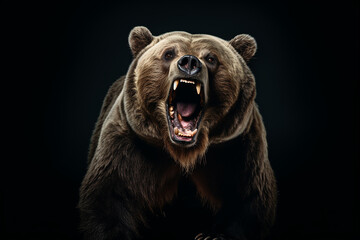 A brown bear with its mouth open on a black background