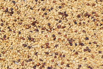 texture of coffee beans
