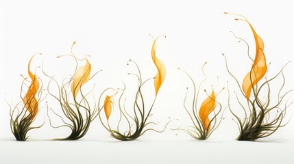 seaweed set of design elements on white background. - obrazy, fototapety, plakaty