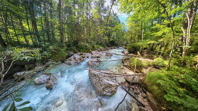 Zauberwald bei Ramsau