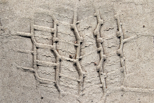 Tyre tracks in concrete