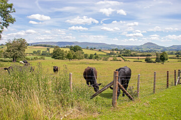 Mid Wales scenery in the Summertime.
