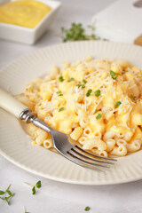 Plate of tasty Italian pasta with Cheddar cheese on light background