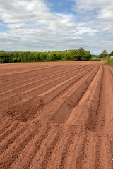 Ploughed fields in the UK.