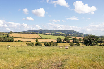 Summertime landscape in the UK.