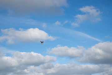 Marine landscape in Mar del Plata , Buenos Aires , Argentina Beach and blue sky