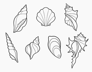 Sea shells black and white simple outline line art vector SVG