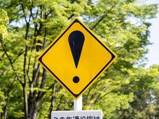 道路標識(警戒標識)「その他の危険」。

