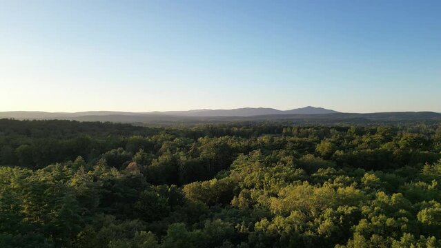 sunset view of catskills in the hudson valley (upstate new york) with boreal forest trees (conifers and deciduous)