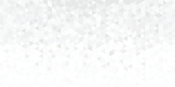 Gray White Polygon Mosaic Background, modern, business and corporate background. Vector