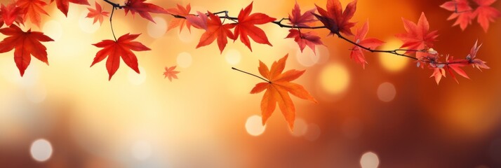 Tree branch with autumn leaves on a blurred background.Fall, autumn, leaves background.banner.copy space