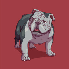 American bully pitbull dog bulldog	
