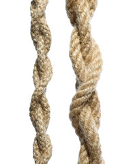 Two hemp ropes with knots isolated on white