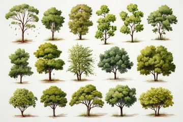 Fotobehang たくさんの木のイラスト,Generative AI AI画像 © beeboys