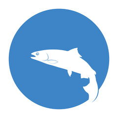 salmon fish icon vector