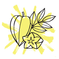 tropical Star fruit hand drawing illustration vector