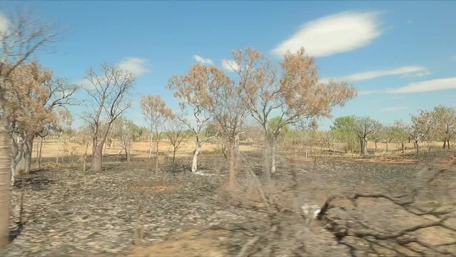 Driving along burnt grassland along Western Australian highway heading north from Perth
