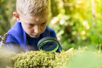 Child exploring nature forrest looking through magnifiying glass