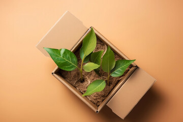 Eco concept with green leaves sprout growing in cardboard box from craft paper. Eco, zero waste, plastic free and saving energy, sustainable lifestyle, renewable energy. 