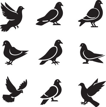 Pigeon vector silhouette illustration