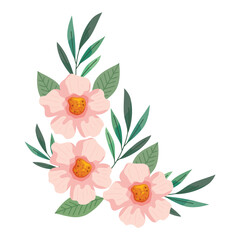 corner frame flowers and branches