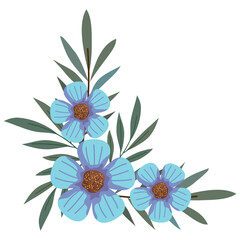 corner frame flowers blooming