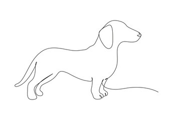 Dachshund dog continuous one line art vector illustration. Isolated on white background. Stock illustration. Pro vector.