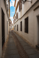 Vertical Shot of Narrow Cobblestone Street with Traditional Andalusian Homes in Cordoba, Spain