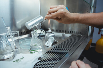 Scientists are conducting serious research into the development of ingredients for pharmaceutical and cosmetic products. To test formulas on lab beakers	
