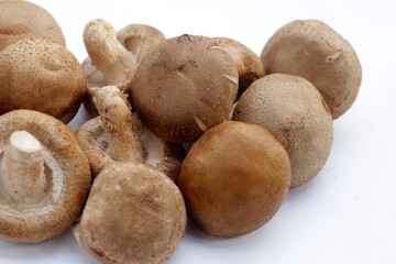 Fresh shiitake mushrooms on white background.