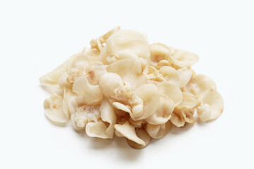 White jelly mushroom or white ear mushroom