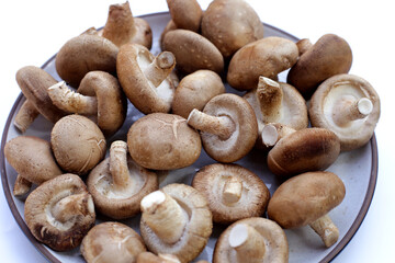 Fresh shiitake mushrooms on white background.