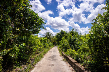 The atmosphere of greenery near the countryside which also has a footpath