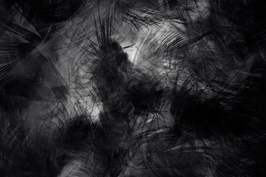 Beautiful dark black feather pattern texture background © nadtytok28
