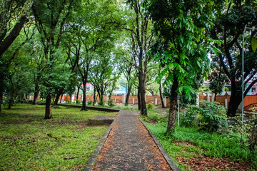 Fototapeta na wymiar Pedestrian path in a park with shade of trees