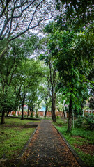 Pedestrian path in a park with shade of trees