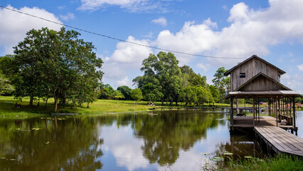 Small cottage house near the lake and park