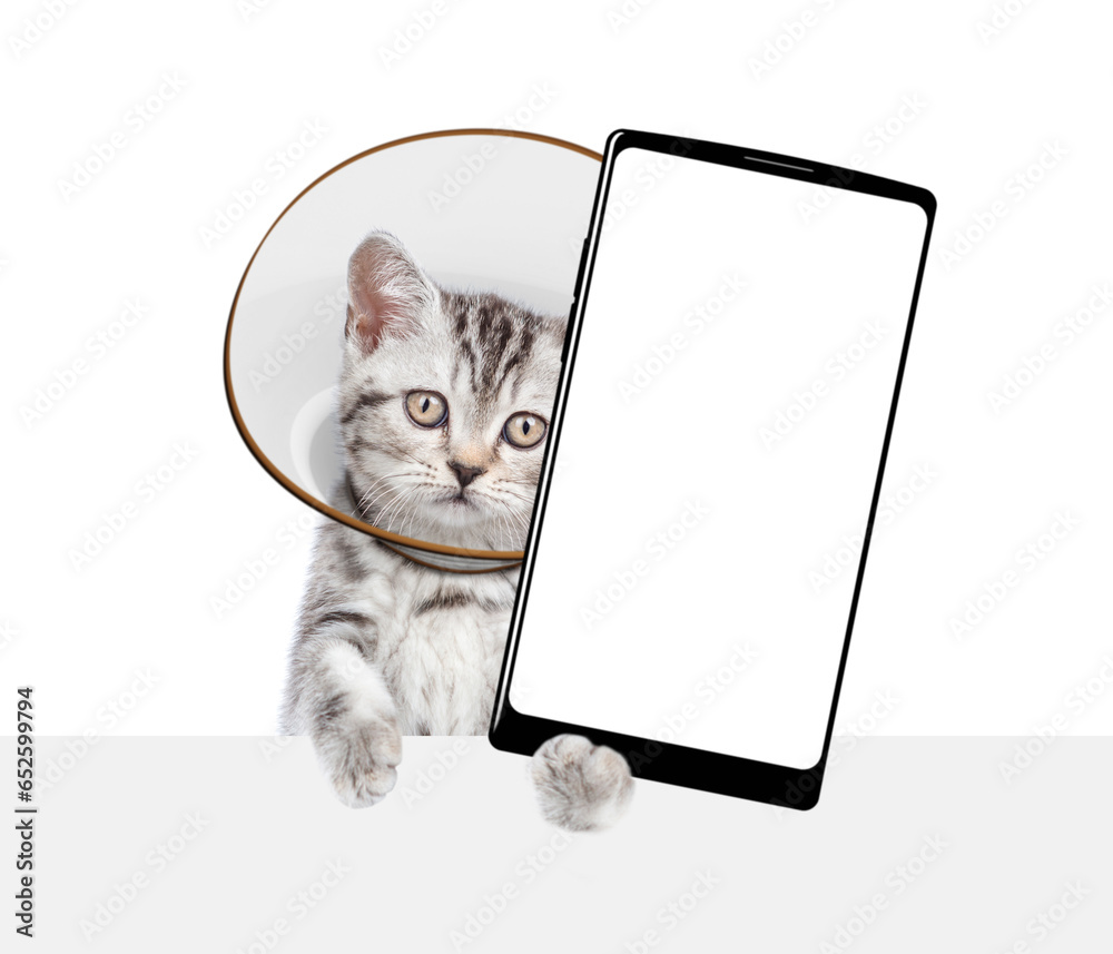 Poster Cute tabby kitten wearing protective cone collar shows big smartphone with empty screen above empty white banner. Isolated on white background