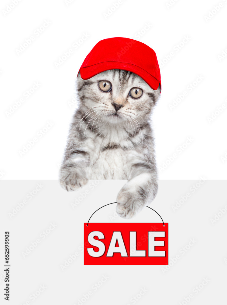 Poster Cat wearing red cap holds signboard with labeled 