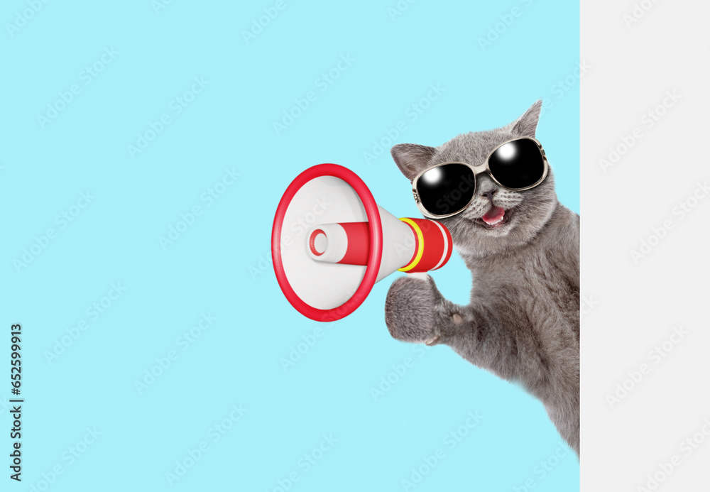 Poster happy cat wearing sunglasses screams into megaphone and looks from behind empty white banner. isolat