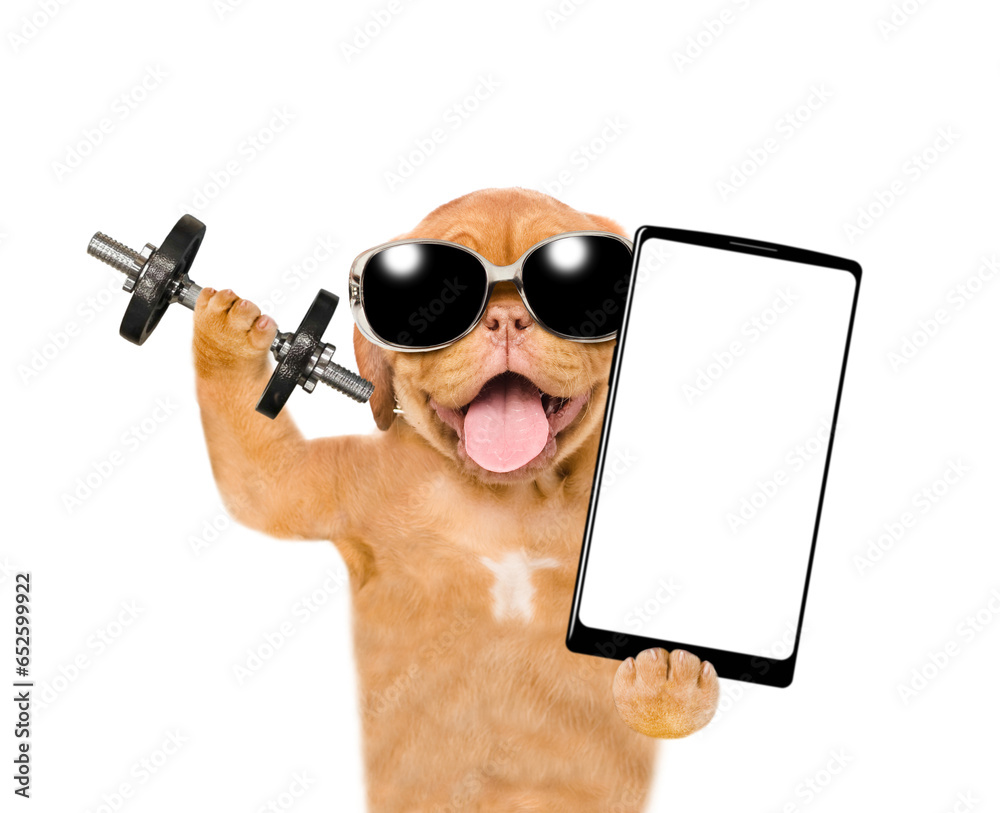 Poster happy mastiff puppy wearing sunglasses lifts dumbbells and holds big smartphone with empty screen in