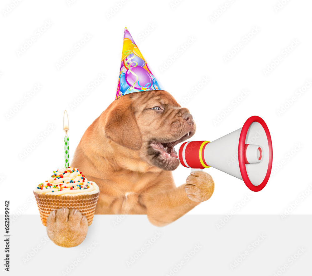 Poster funny mastiff puppy wearing party cap barks into megaphone above empty white banner and holds cupcak