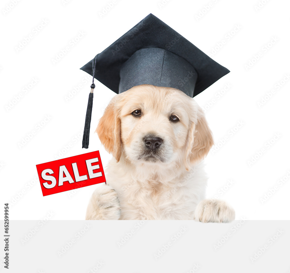 Poster smart graduated golden retriever puppy holds signboard with labeled 