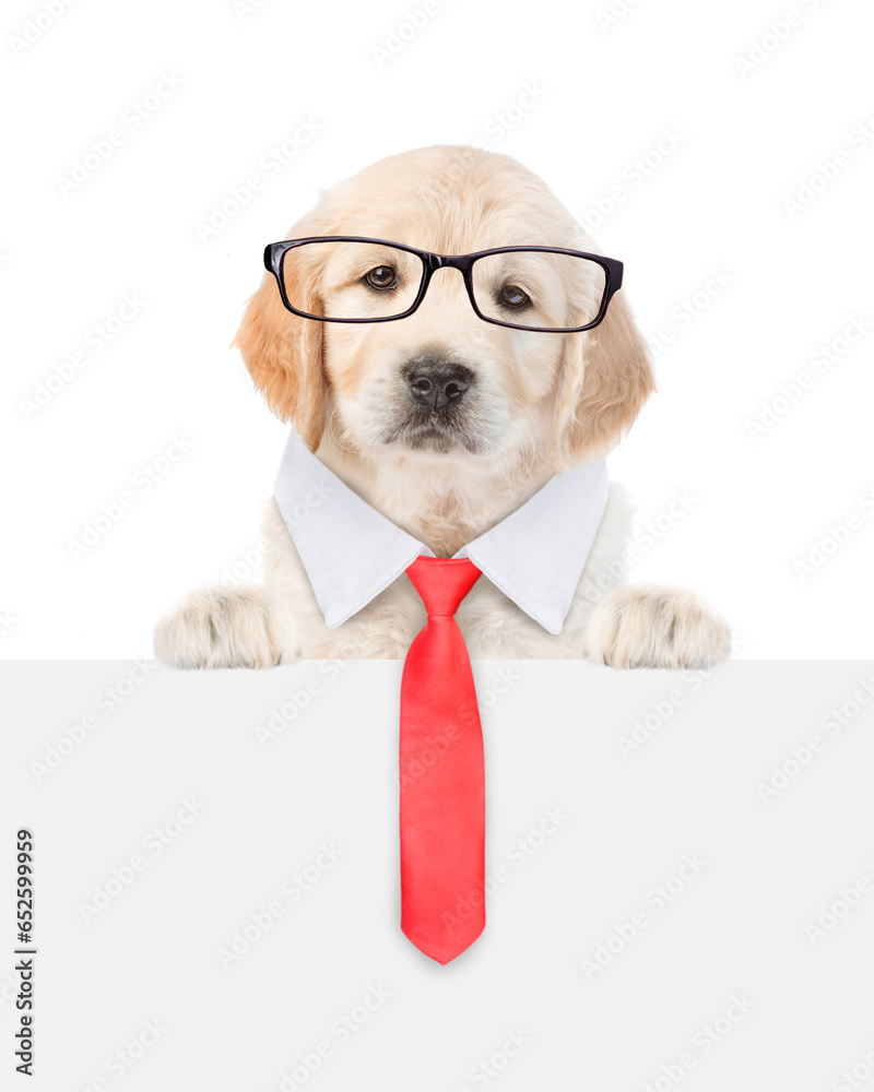 Poster smart golden retriver puppy wearing eyeglasses and necktie looks above empty white banner. isolated 