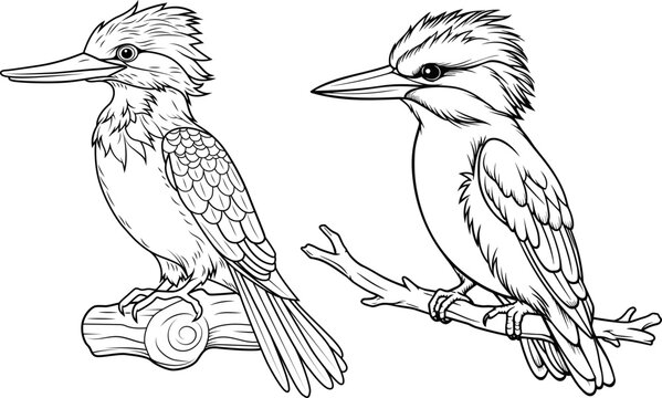 Set of hand drawn outline of kingfishers. A black and white drawing.